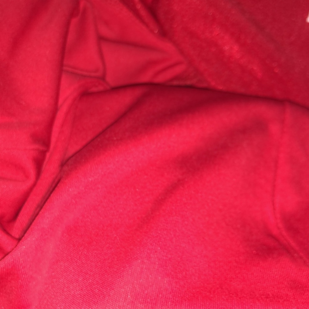 Red Velvet Mini Dress - Picture 2 of 4
